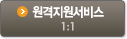 원격지원서비스1:1